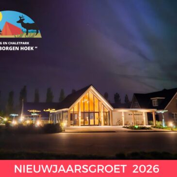 Nieuwsbrief en nieuwjaarsgroet 2026
